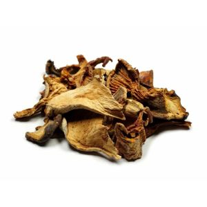 GRIZLY Lesní směs sušených hub 30 g
