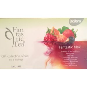 Biogena Fantastic Tea Maxi 64 ks