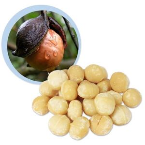 Lifefood Makadamové ořechy raw BIO 1000g