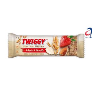 Twiggy Ovesné s proteinem jahoda & mandle 45 g